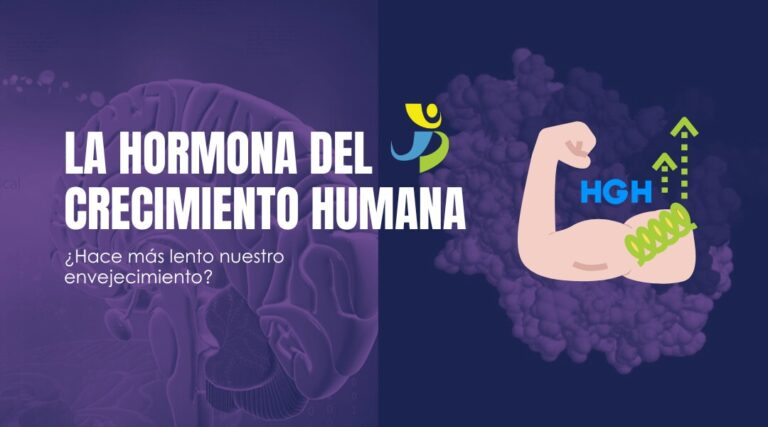 LA HORMONA DEL CRECIMIENTO HUMANA: ¿HACE MÁS LENTO EL ENVEJECIMIENTO?