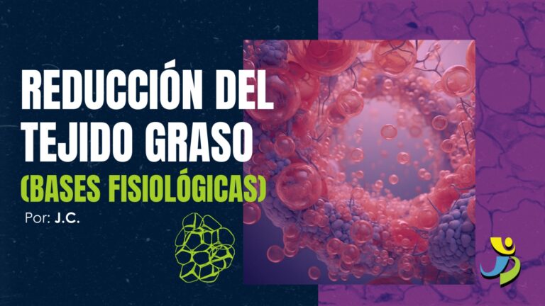 REDUCCIÓN DEL TEJIDO GRASO (BASES FISIOLÓGICAS)