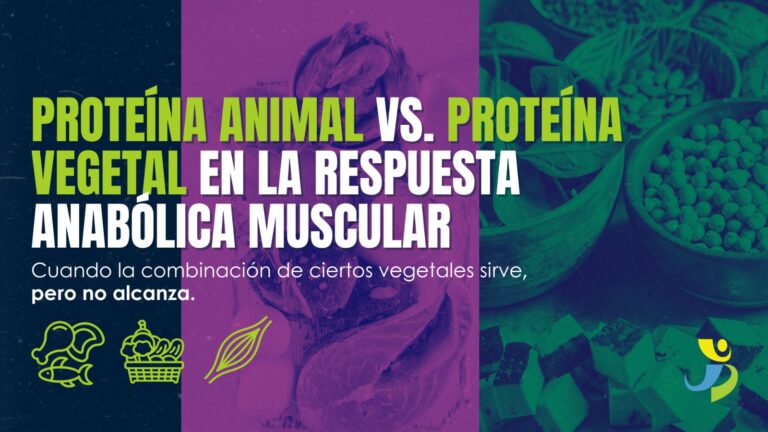 PROTEÍNA ANIMAL VS. PROTEÍNA VEGETAL EN LA RESPUESTA ANABÓLICA MUSCULAR
