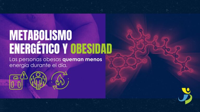 METABOLISMO ENERGÉTICO Y OBESIDAD: LAS PERSONAS OBESAS QUEMAN MENOS ENERGÍA DURANTE EL DÍA