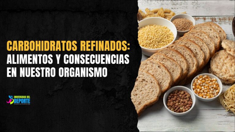 Carbohidratos refinados: alimentos y consecuencias en nuestro organismo